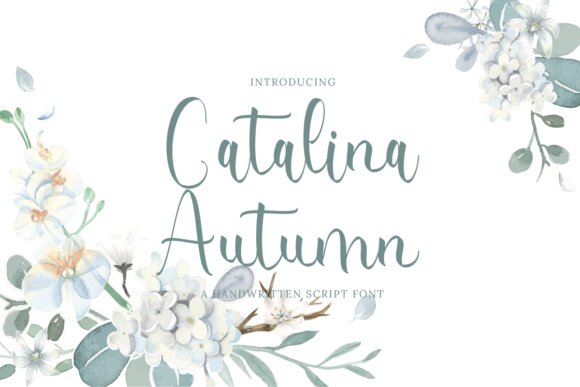 Catalina Autumn: A Beautiful Font for Your Brand
