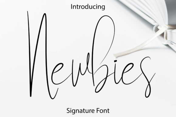Newbies Font: Elegant Script for Business
