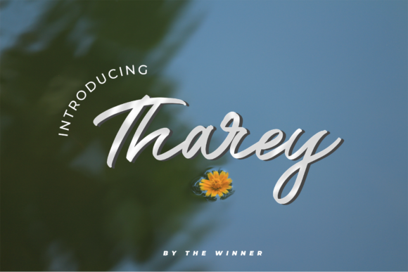 Tharey: A Beautiful Script Font for Business